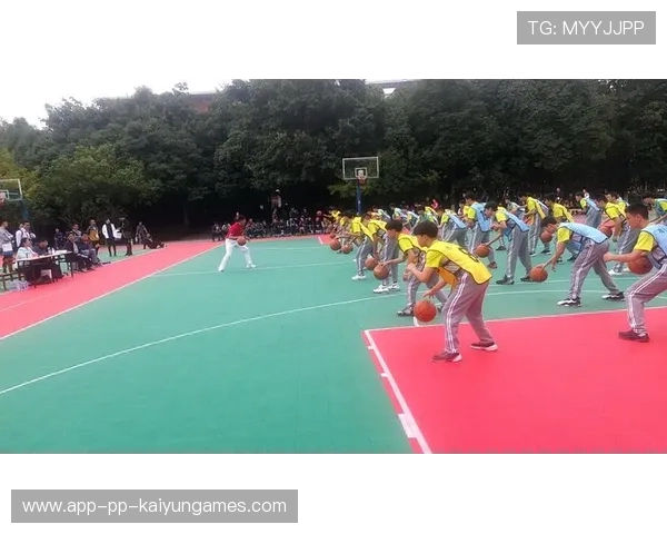 中国篮球学校体育课中篮球项目课时增加的策略，篮球课程实施